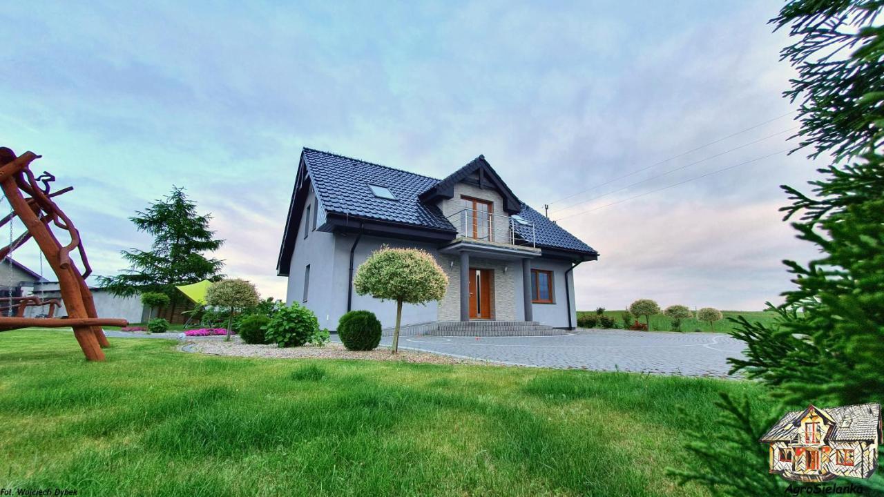 Agrosielanka Villa Lipnica  Luaran gambar