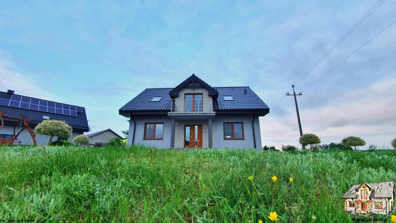 Agrosielanka Villa Lipnica  Luaran gambar