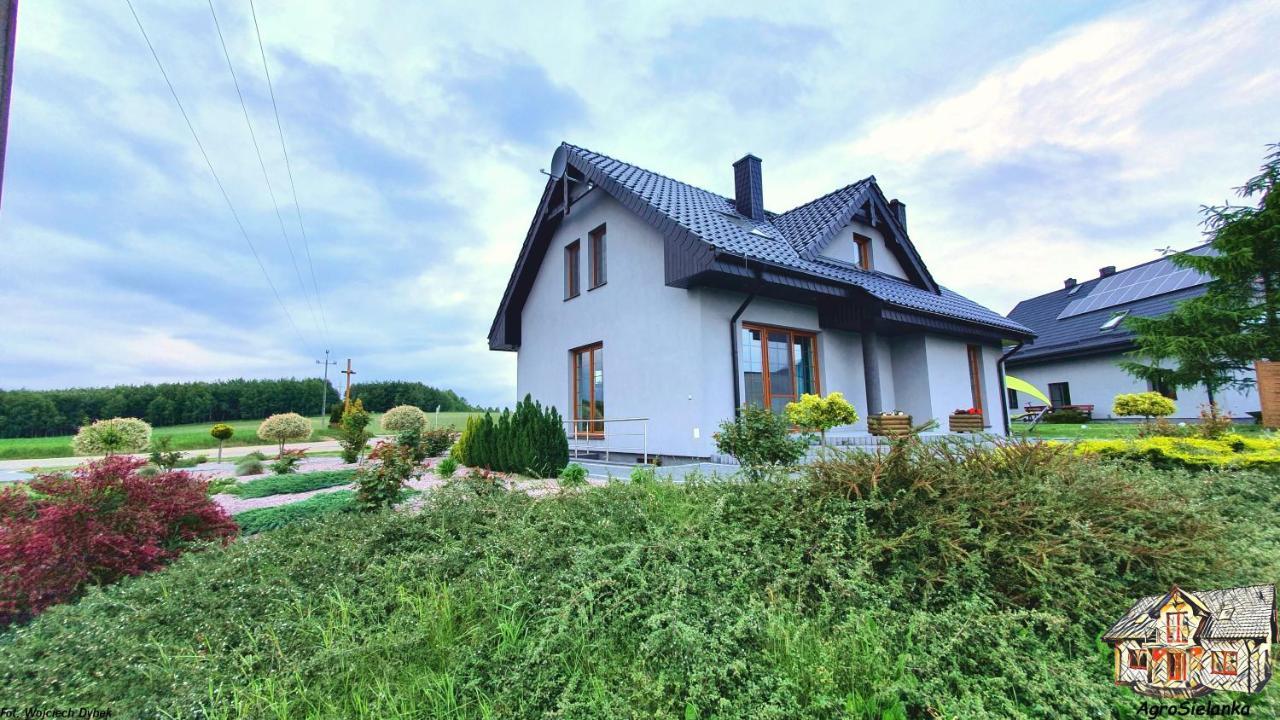 Agrosielanka Villa Lipnica  Luaran gambar