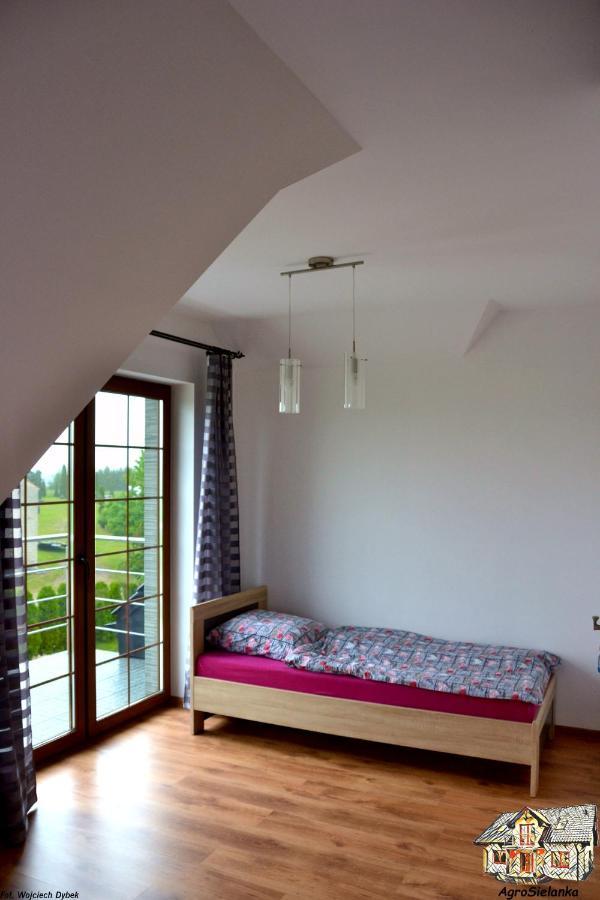 Agrosielanka Villa Lipnica  Luaran gambar