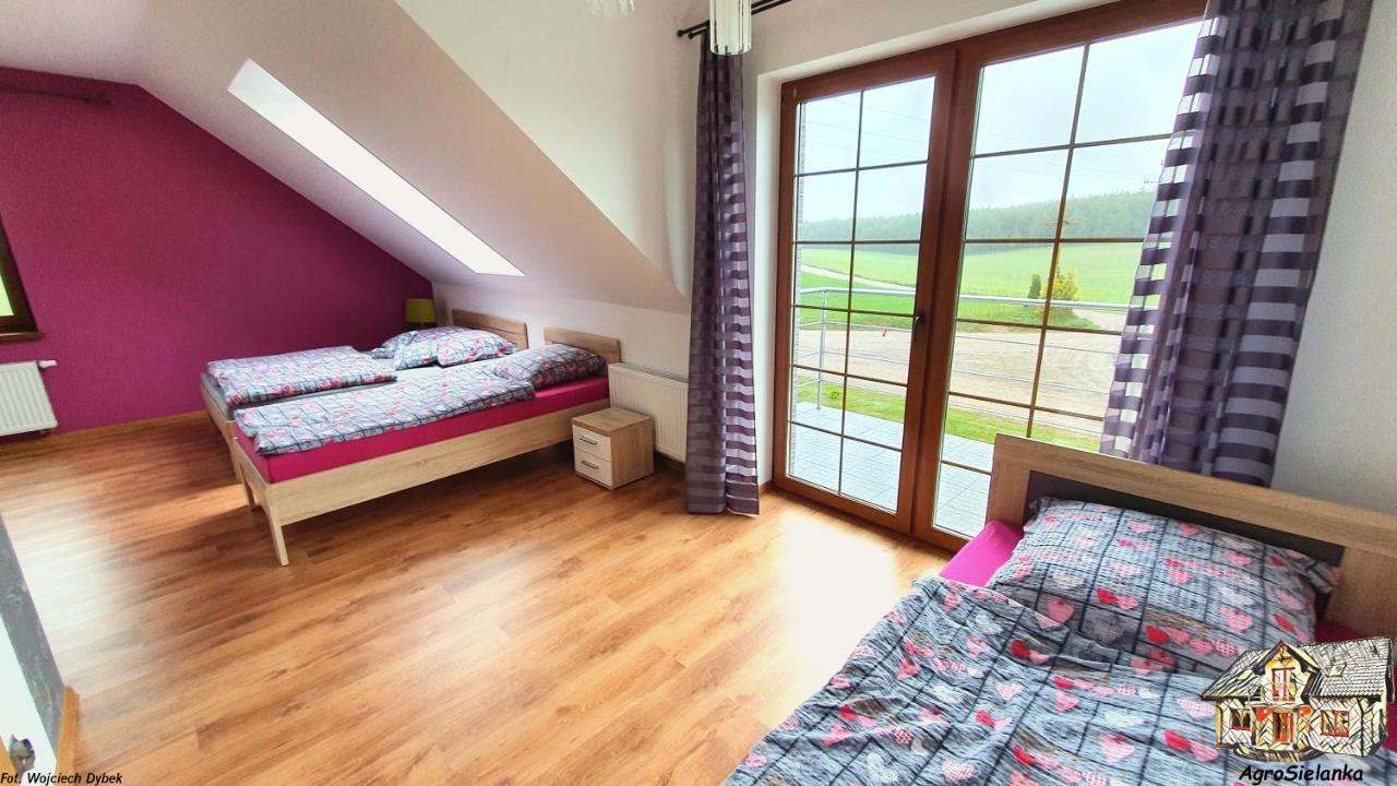 Agrosielanka Villa Lipnica  Luaran gambar