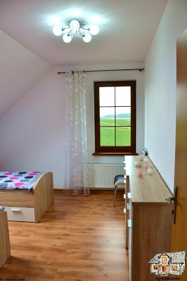 Agrosielanka Villa Lipnica  Luaran gambar